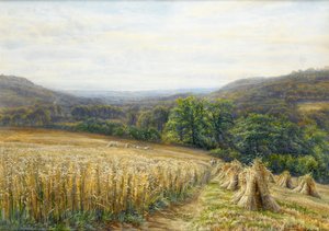 Harvest Time nær Ashburton, 1884 (wc og gouache på papir) av Edmund George Warren