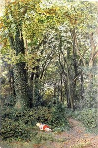 Lost in the Woods