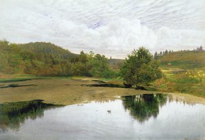 The Pool, 1860 (wc & penn og blekk på papir)