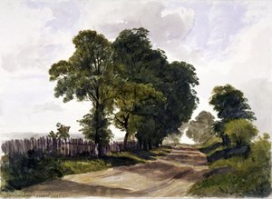 Belsize Lane, Hampstead, London, 1842   1177230   no       norwegian Successfully Translated  Original: Kop van een haan Translat: Kop van een haan 1386124 no norwegian Successfully Translated Original: The Broken Saucer Translat: The Broken Saucer 1289645