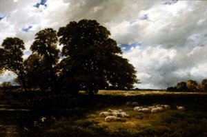 Landskap med sauer av Edmund Morison Wimperis