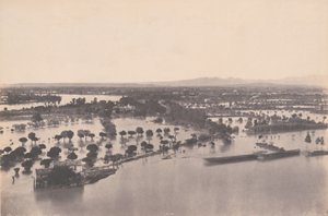 Avignon (flom fra 1856)