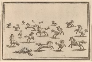 Hester som løper