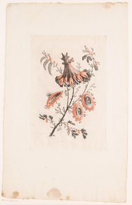 Parasollformede blomster Fleurs Idealle (serietittel) av Edouard Gautier Dagoty