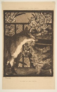 Katt og blomster. Illustrasjon til The Cats av Champfleury, 1869. av Édouard Manet