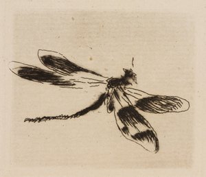 Dragonfly, plate 1 fra The River av Édouard Manet