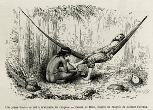En ung Roucouyan-kvinne trekker ut shies som har strålt oppdagerens føtter i løpet av natten. Gravering av Riou, for å illustrere historien om Cayenne aux Andes, av Jules Crevaux, lege for den franske marinen, i 1878-1879, publisert i Tour du monde, un av Edouard Riou