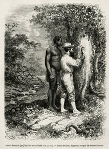 Apatou, guide og reisefølge ber oppdagelsesforfatteren om å gravere initialene sine i barken på et tre. Gravering av Riou, for å illustrere historien om Cayenne aux Andes, av Jules Crevaux, lege for den franske marinen, i 1878-1879, publisert i Tour du av Edouard Riou