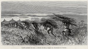 Fanger som bærer ved i bushen. Gravering av Riou, for å illustrere historien "" Fra Niger til Guineebukta", av kaptein Louis Gustave Binger (1856-1936), i 1887-1889, i Le tour du monde, nouveau journal des voyages, under ledelse av Edouar av Edouard Riou