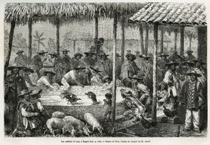 Hanekamp og gateanimasjon i Ibague (Colombia), tegning av Riou, for å illustrere historien om Equinoxiale America (Colombia, Ecuador, Peru), i 1875-1876, av Ed. andre, reiseoppdrag fra den franske regjeringen. Gravering i Le tour du monde av Edouard Riou