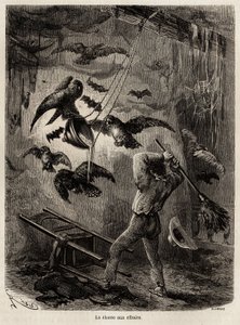Jakt på ugler flyktet i kirken Sarayacu (Peru), tegning av Riou, for å illustrere Paul Marcoys reise fra Stillehavet til Atlanterhavet fra 1848 til 1860. Gravering i "" Le tour du monde", redigert av Edouard Charton