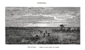 Los Llanos, Venezuela, 1800-tallet av Edouard Riou