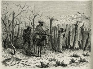 The Clouds of Grasshoppers of the Vallee du Upper Patia, med på muldyret fortelleren av reisen, gravert av Riou, for å illustrere historien L
