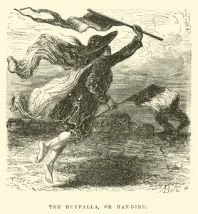 Huyfalla, eller menneskefugl av Edouard Riou