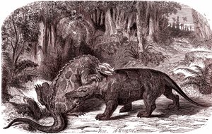 Iguanodonen og Megalosaurusen (gravering av Edouard Riou
