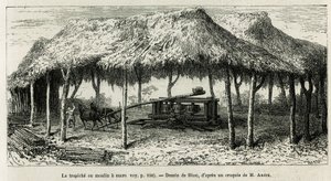 Trapisjen, eller sukkermøllen for å male stokkene i Panche (Colombia), tegning av Riou, for å illustrere historien om Equinoxiale America (Colombia, Ecuador, Peru), i 1875-1876, av Ed. andre, reiseoppdrag fra den franske regjeringen. Gravering i Le t av Edouard Riou