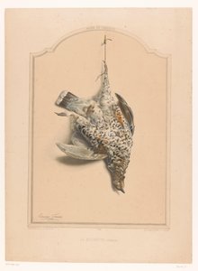 Død halskragefugl som henger på ett ben La gélinotte (kvinne) (tittel på objekt) Museum of the Hunter (serietittel) Musée du chasseur (serietittel på objekt) av Edouard Travies