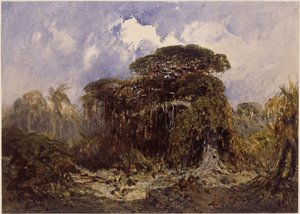 Skogstudie av Eduard Hildebrandt