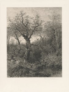Høst av Eduard Willmann, after Eduard Marak