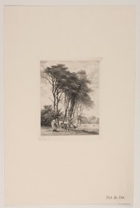 Landskap. Kyr ved en skog