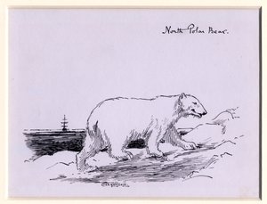 Isbjørn, ca. 1905 (blekk på papir)