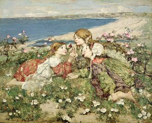 Sea Shore Roses