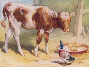 Kalv og ender (farge litho)