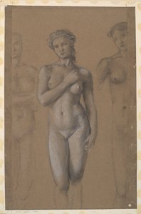 Kvinne naken - Tre studier, muligens for Venus