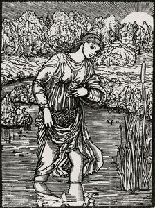 Reeds oppgave av Edward Coley (after) Burne Jones