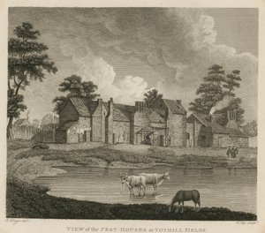 Utsikt over skadedyrhusene ved Tothill Fields, London av Edward Dayes