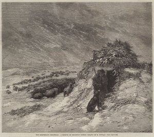 The Shepherd