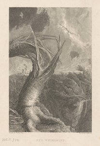 Virvelvinden av Edward Gallaudet, after Thomas Cole