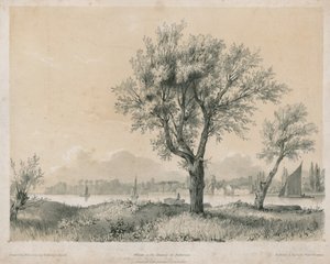 Willows on Themsen ved Battersea