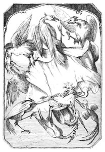Eselkålene, 1901