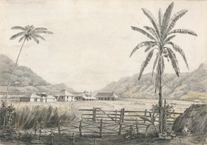Utsikt over Hall-head Sugar Plantation, Jamaica av Edward Kennion