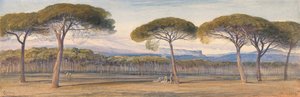  av Edward Lear