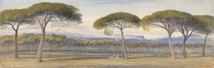 Utsikt over furuskogen over Cannes av Edward Lear