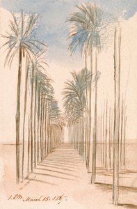  av Edward Lear
