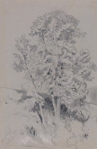  av Edward Lear