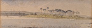  av Edward Lear