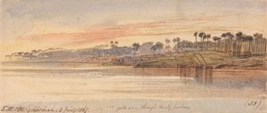 av Edward Lear