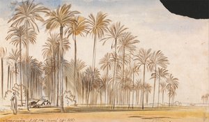  av Edward Lear