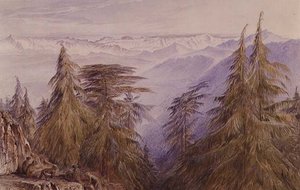 Aper på en stein i nærheten av Simla, Nord-India av Edward Lear