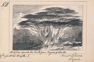 Mount Libanon, Syria - En sedertre spredte sine mørkegrønne lag med skygge av Edward Lear