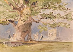  av Edward Lear