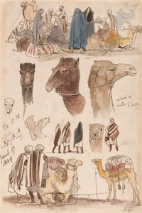  av Edward Lear