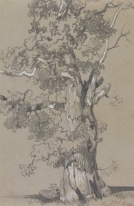 Parham, 13. oktober 1834 av Edward Lear