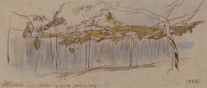 Pettenasco, Lake Orta av Edward Lear