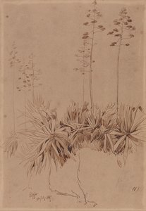  av Edward Lear