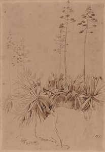  av Edward Lear
